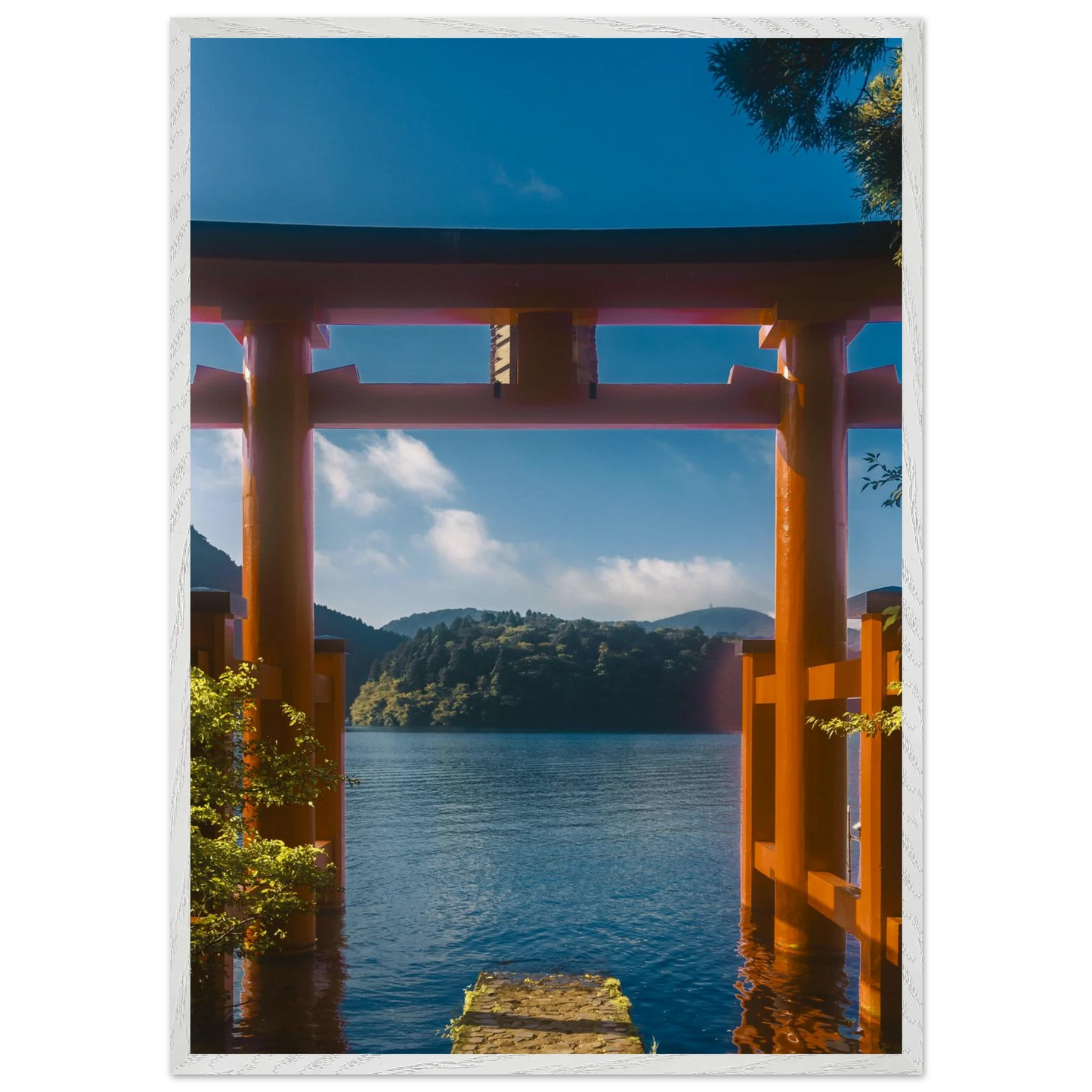 ccd11d5e-0250-482d-965c-2f50e8b5f0d9