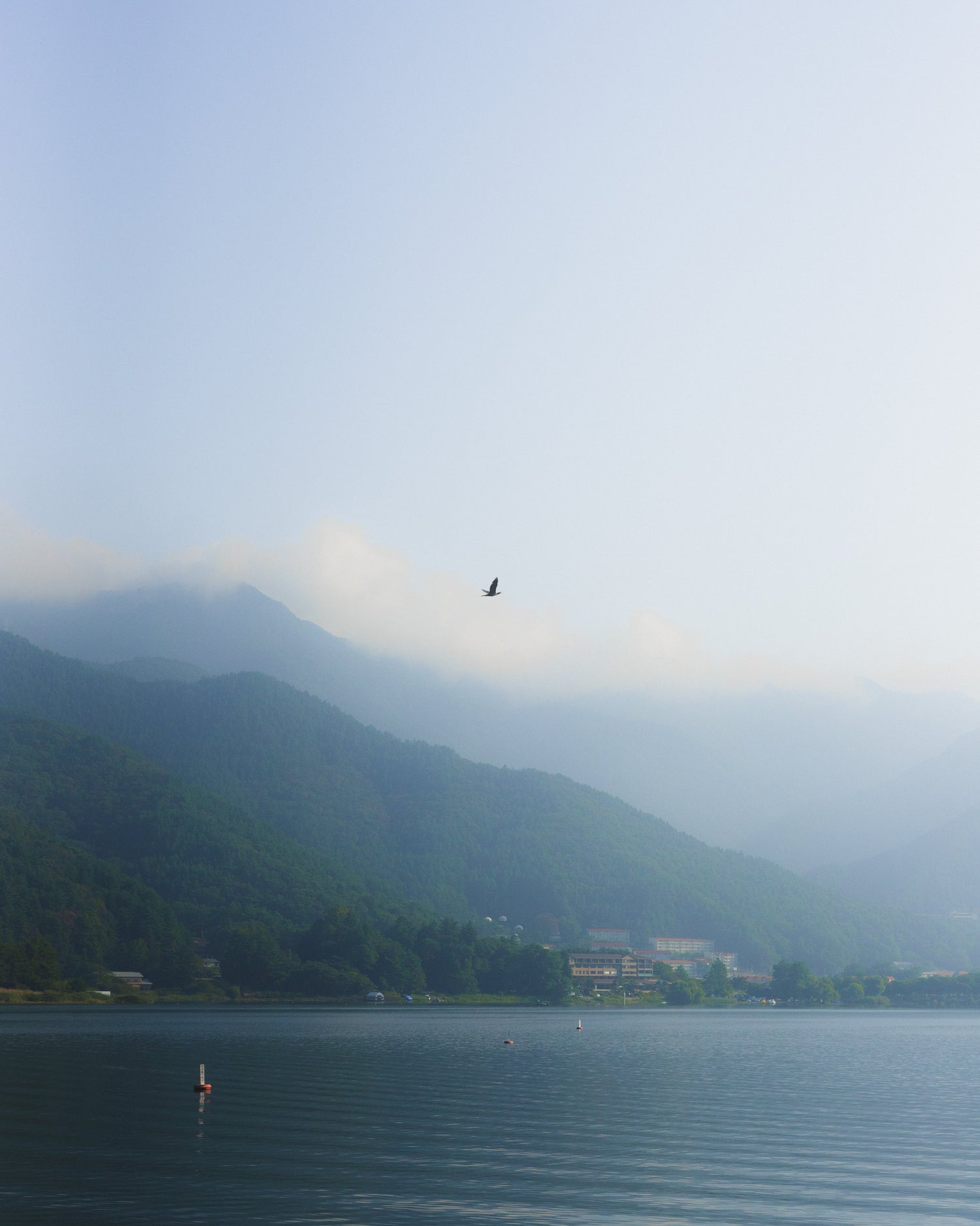 A peaceful scene of a calm lake, surrounded by green mountains under a soft sky. A bird soars above the water, creating a tranquil and serene atmosphere. The gentle ripples and distant clouds evoke calmness and quiet solitude.