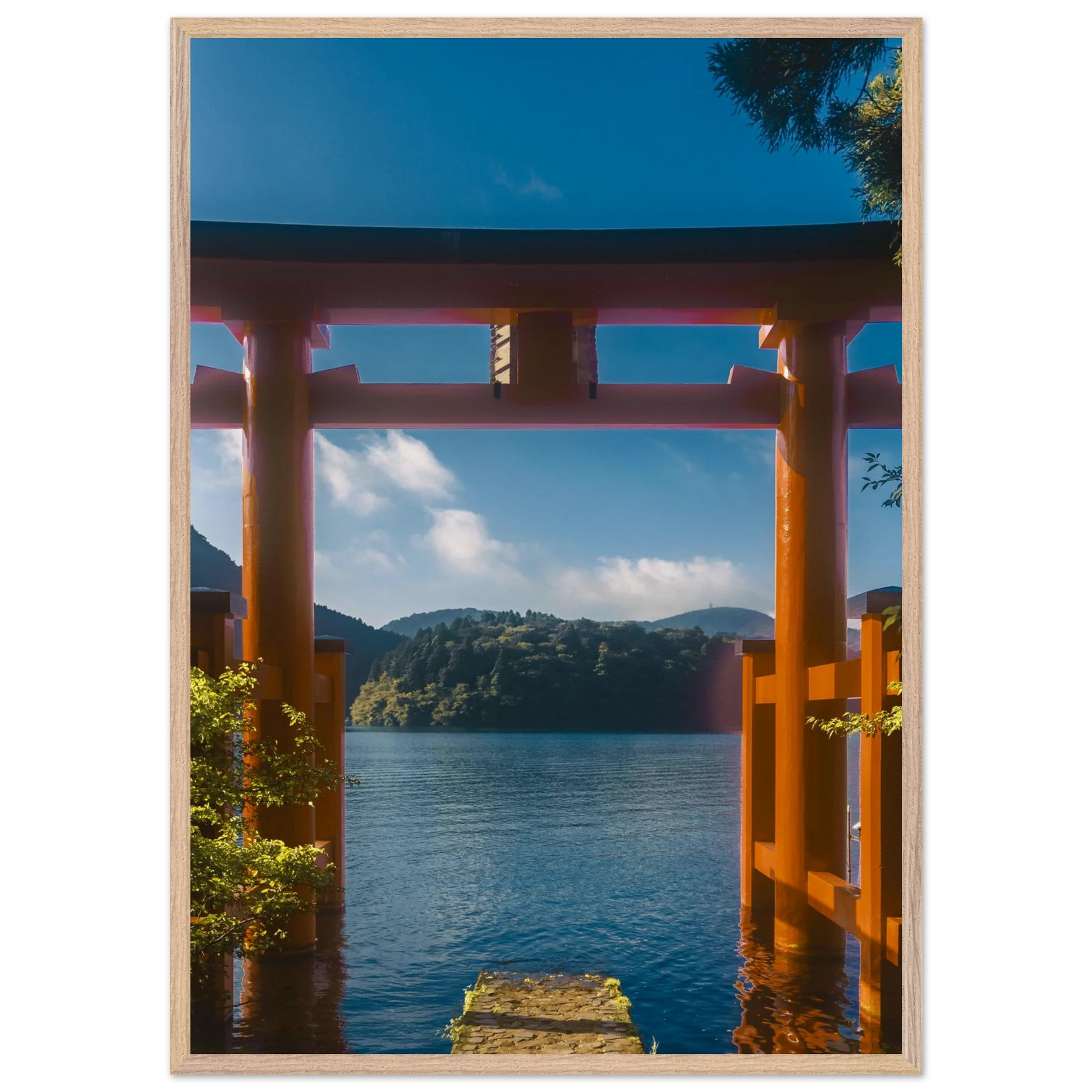 11486bde-13a2-499b-ac35-abf87b7ee2bf