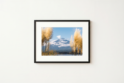 Mount Fuji View