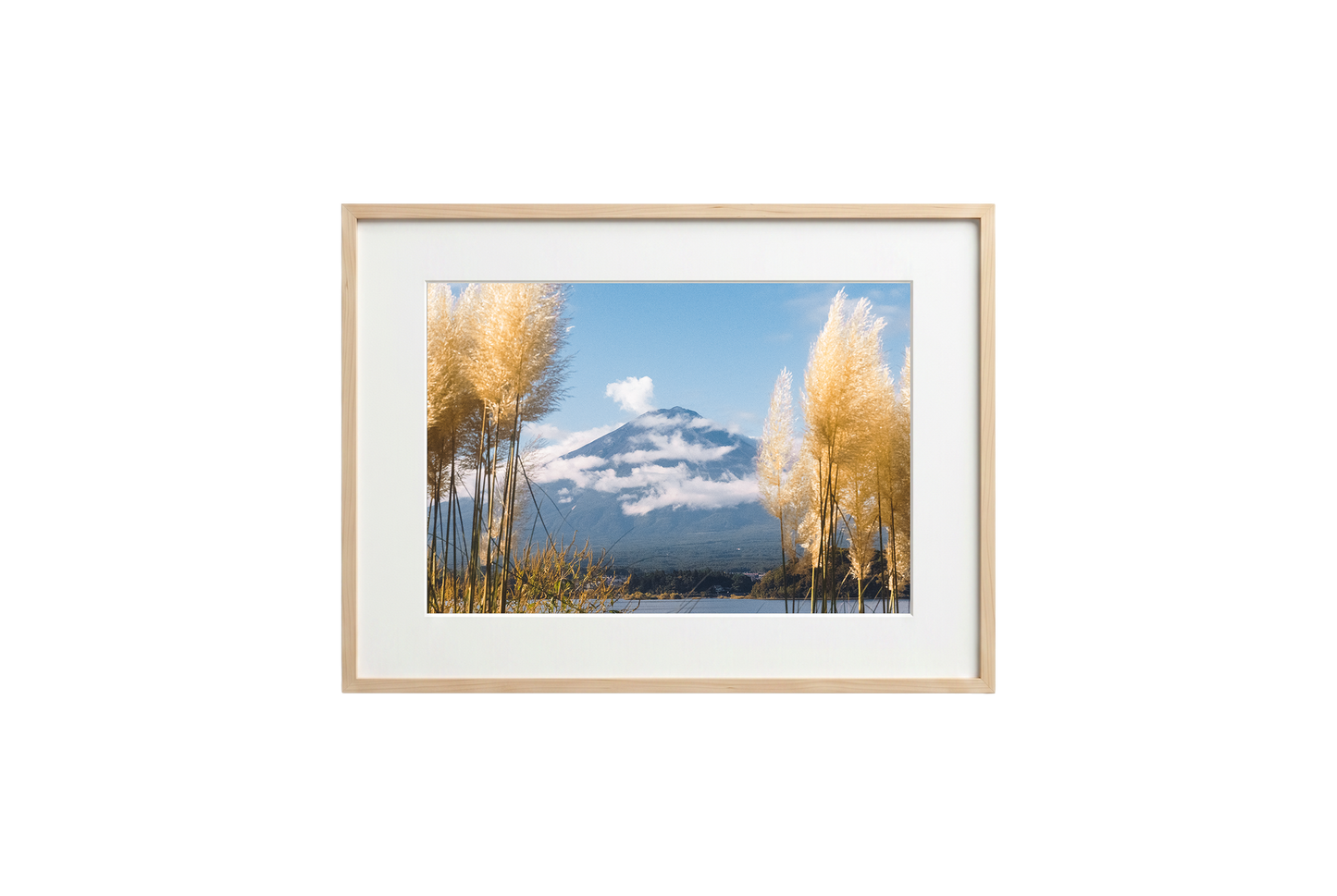 Mount Fuji View