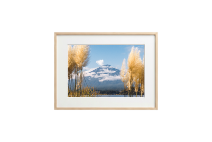 Mount Fuji View