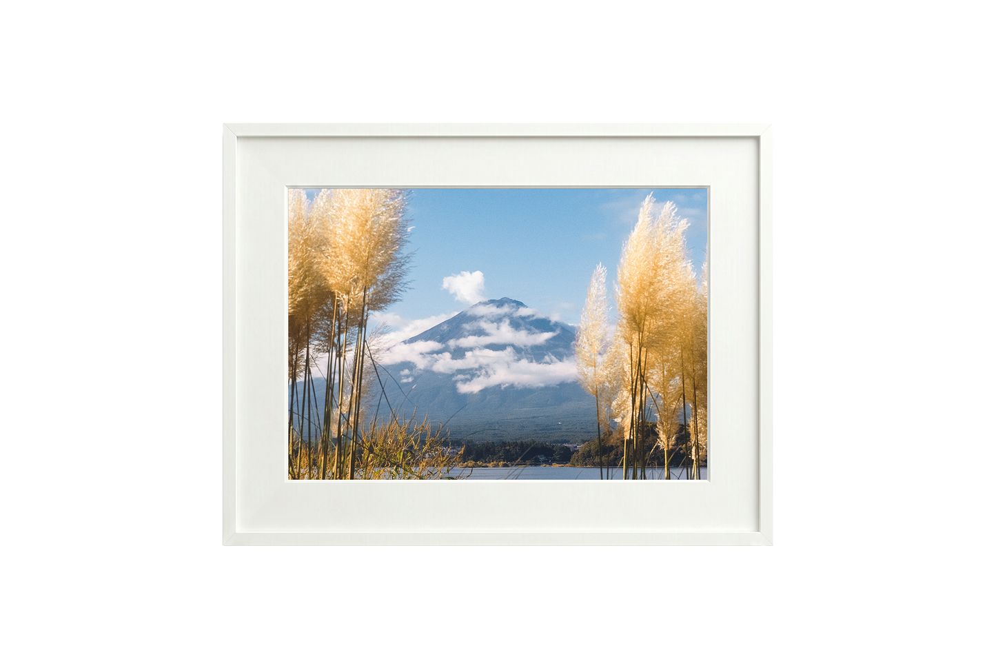 Mount Fuji View