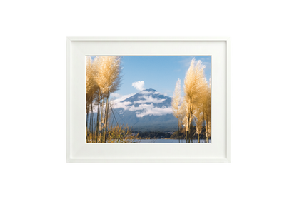 Mount Fuji View