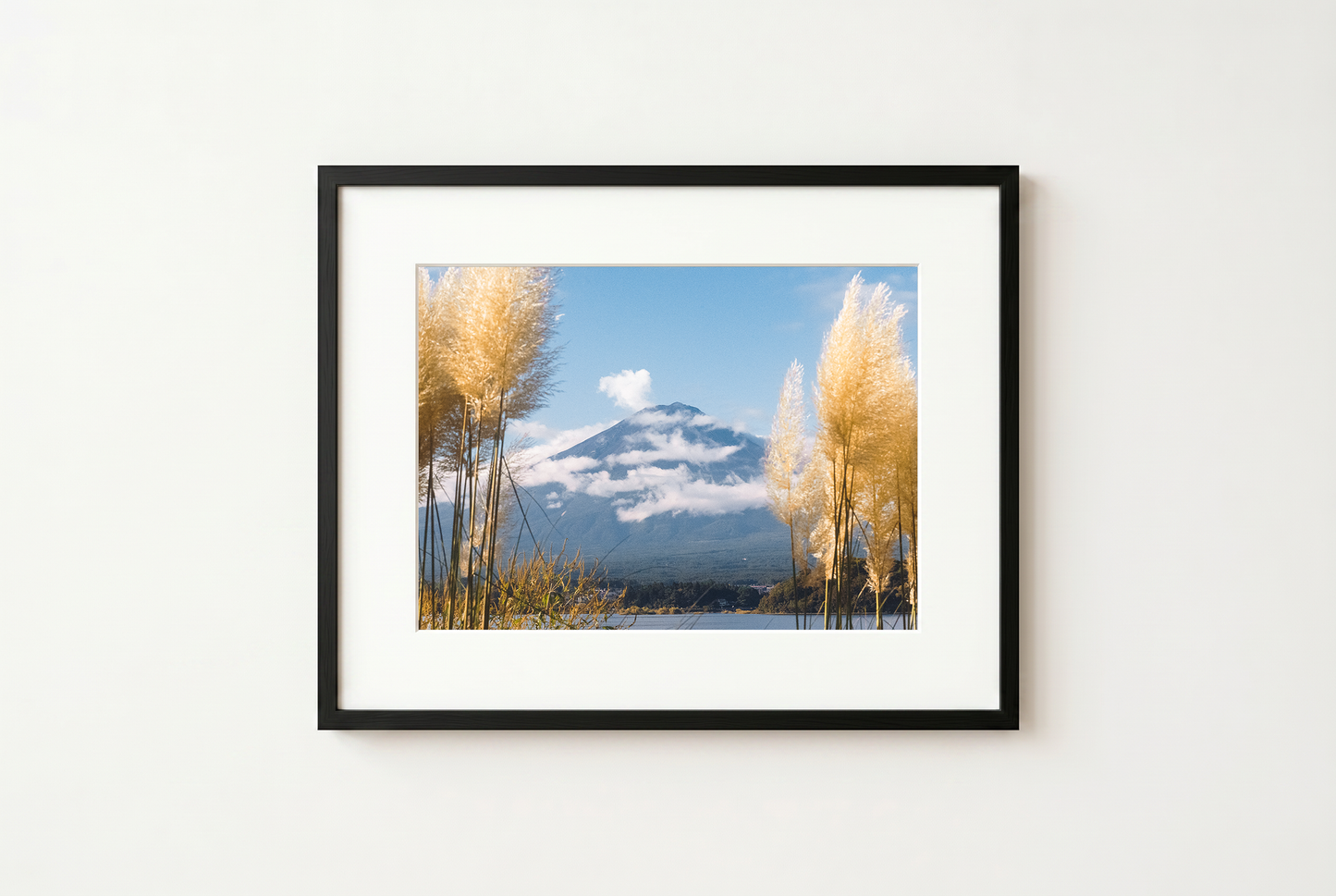 Mount Fuji View