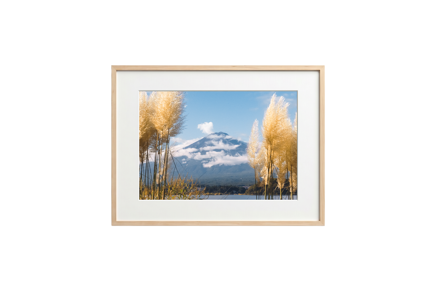 Mount Fuji View
