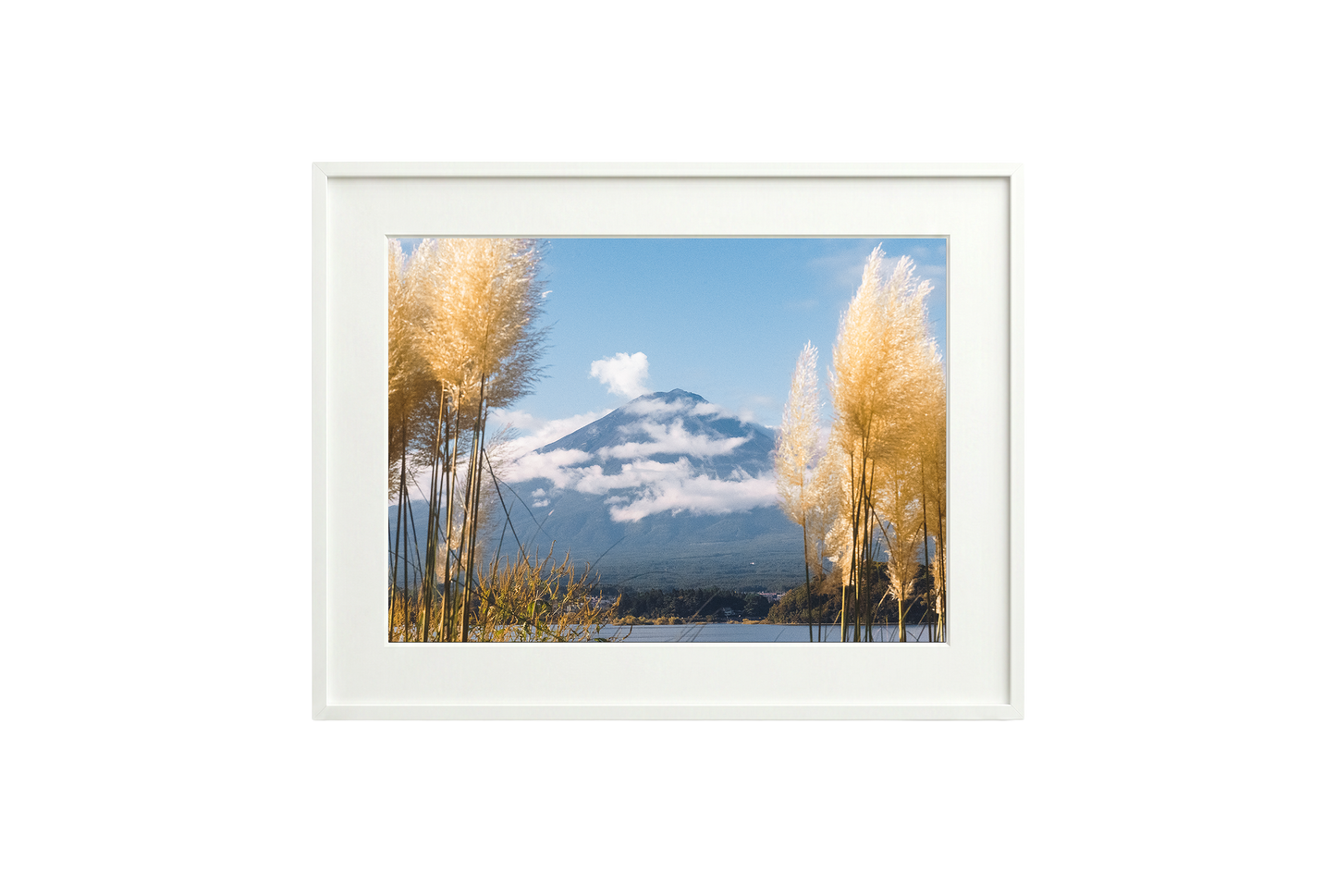 Mount Fuji View