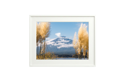 Mount Fuji View