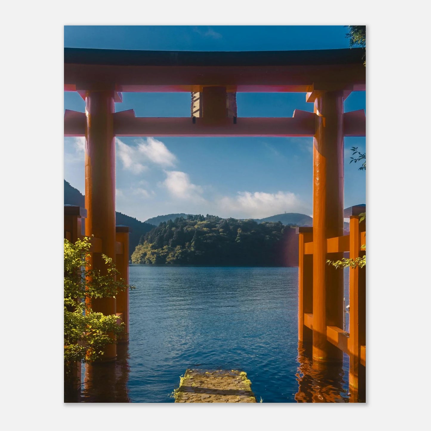 1d916053-a698-47a3-b4f6-d9c062d5d5e1