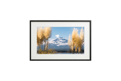 Framed picture of a mountain landscape with trees on a white background