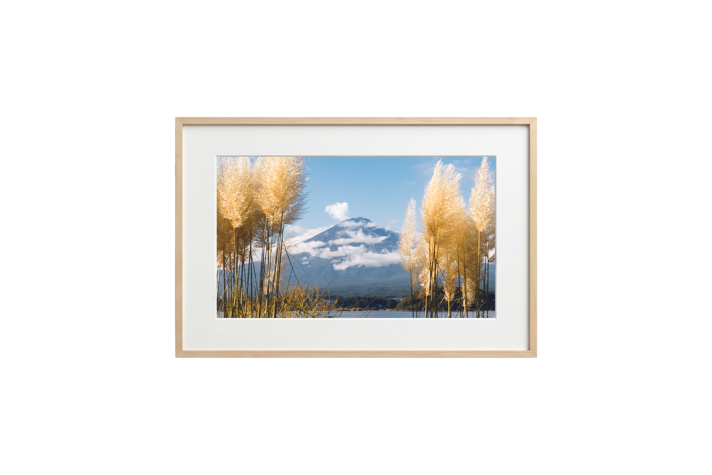 Mount Fuji View