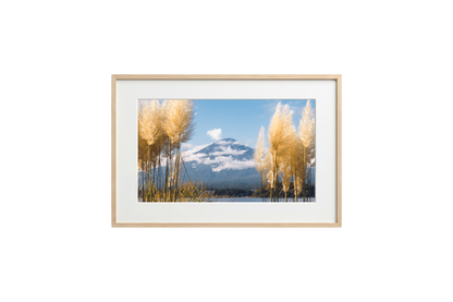 Mount Fuji View