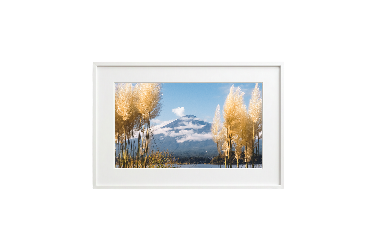 Mount Fuji View