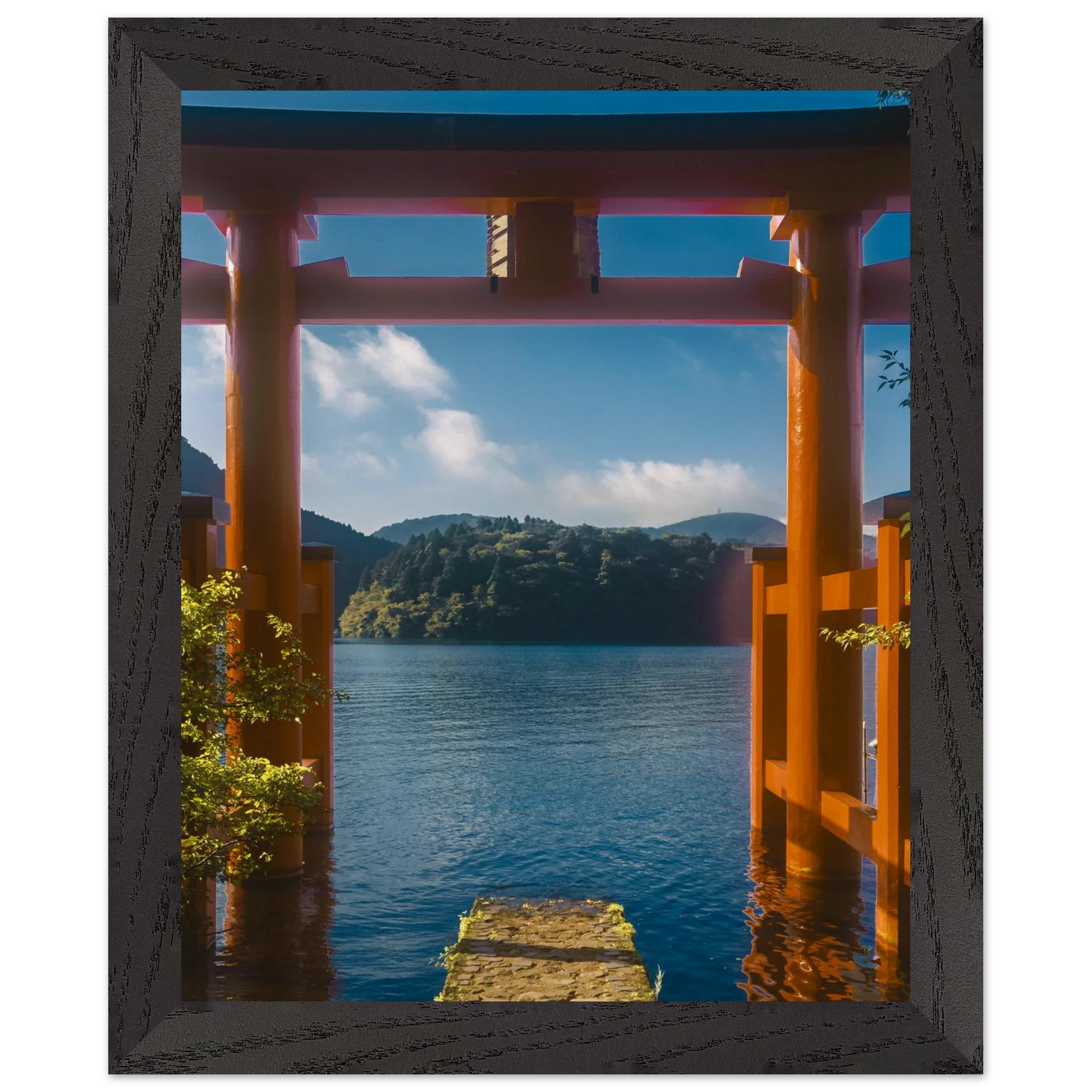 27d159a2-051d-45e0-afa2-819f86696157