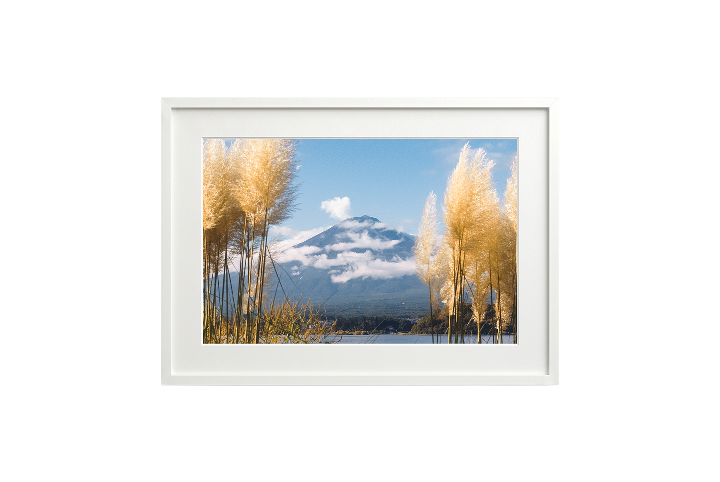 Mount Fuji View