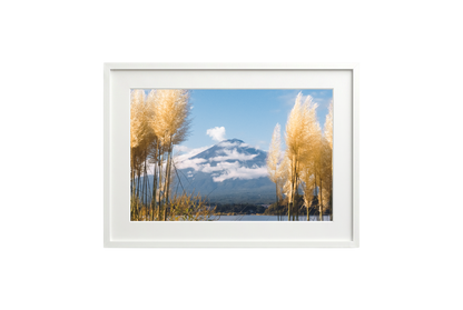 Mount Fuji View