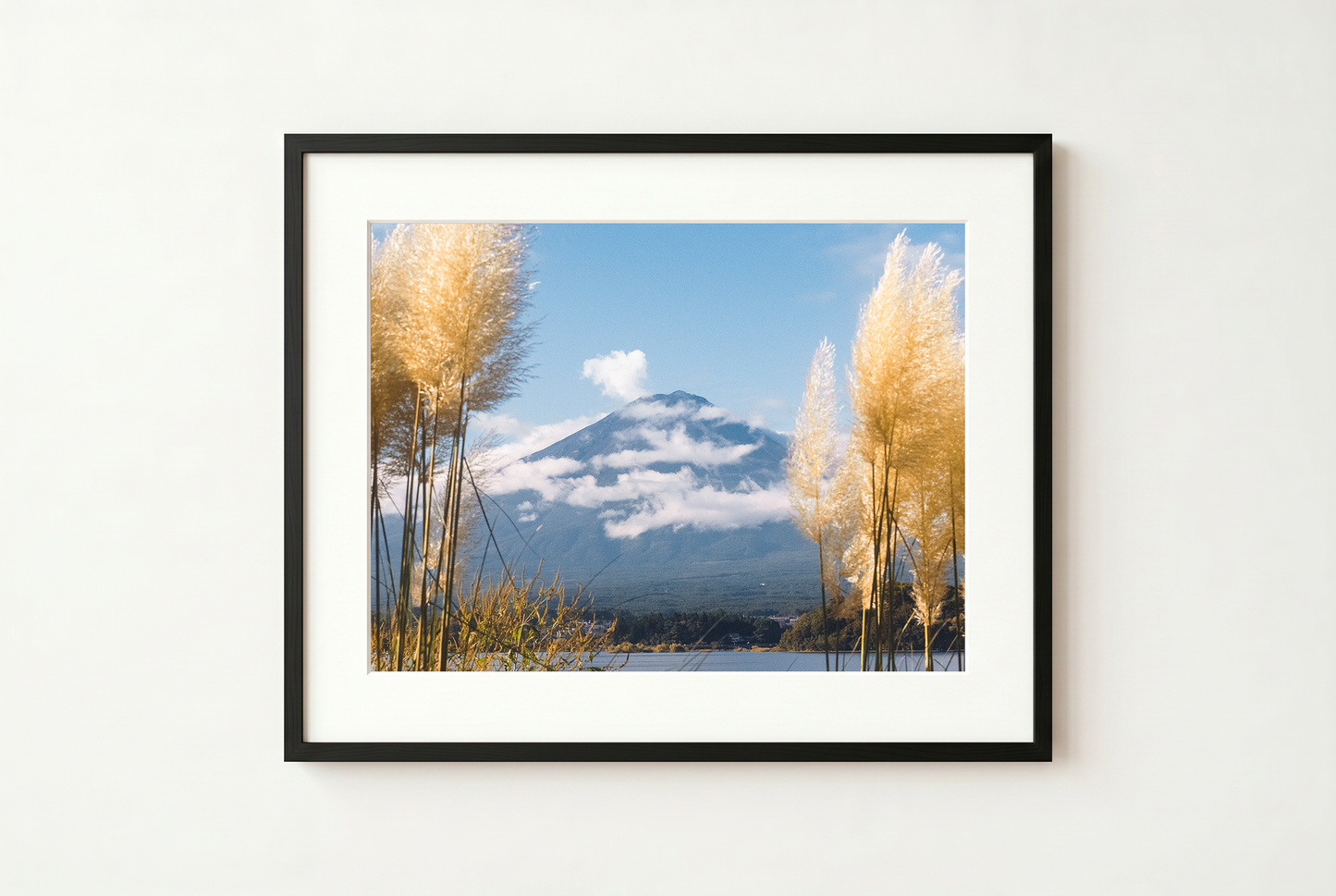Framed photograph of a mountain landscape with pampas grass against a white wall.