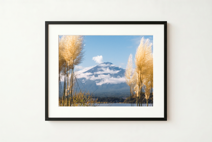 Framed photograph of a mountain landscape with pampas grass against a white wall.