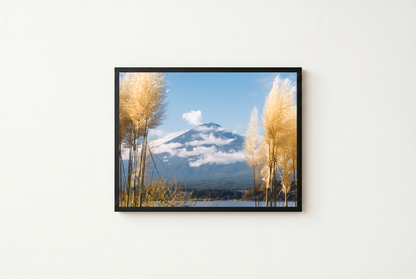 Mount Fuji View