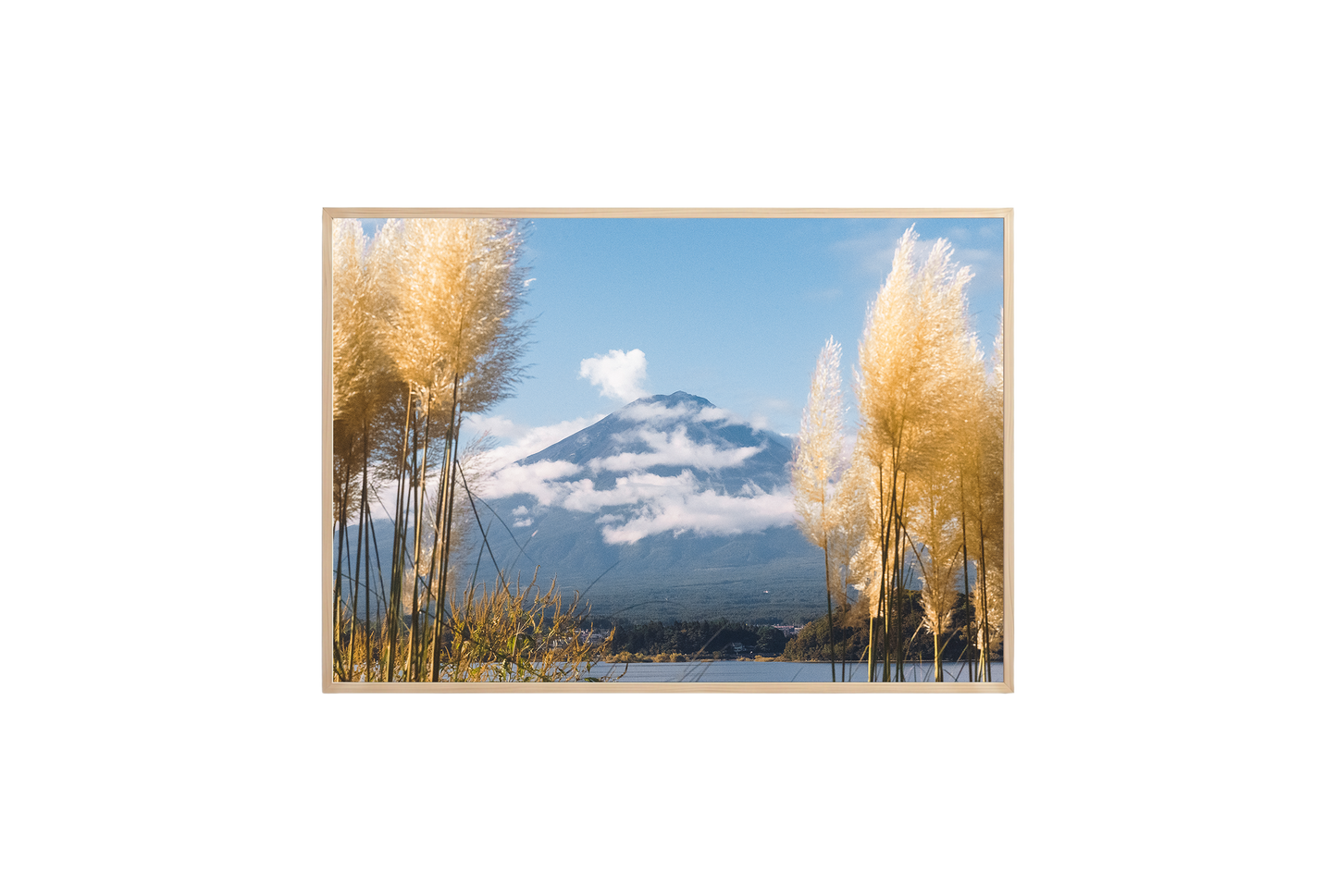 Mount Fuji View