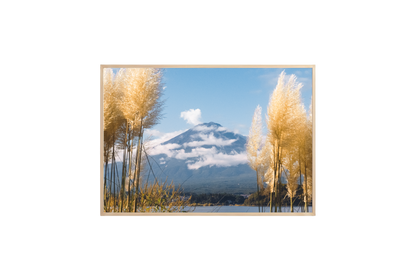 Mount Fuji View