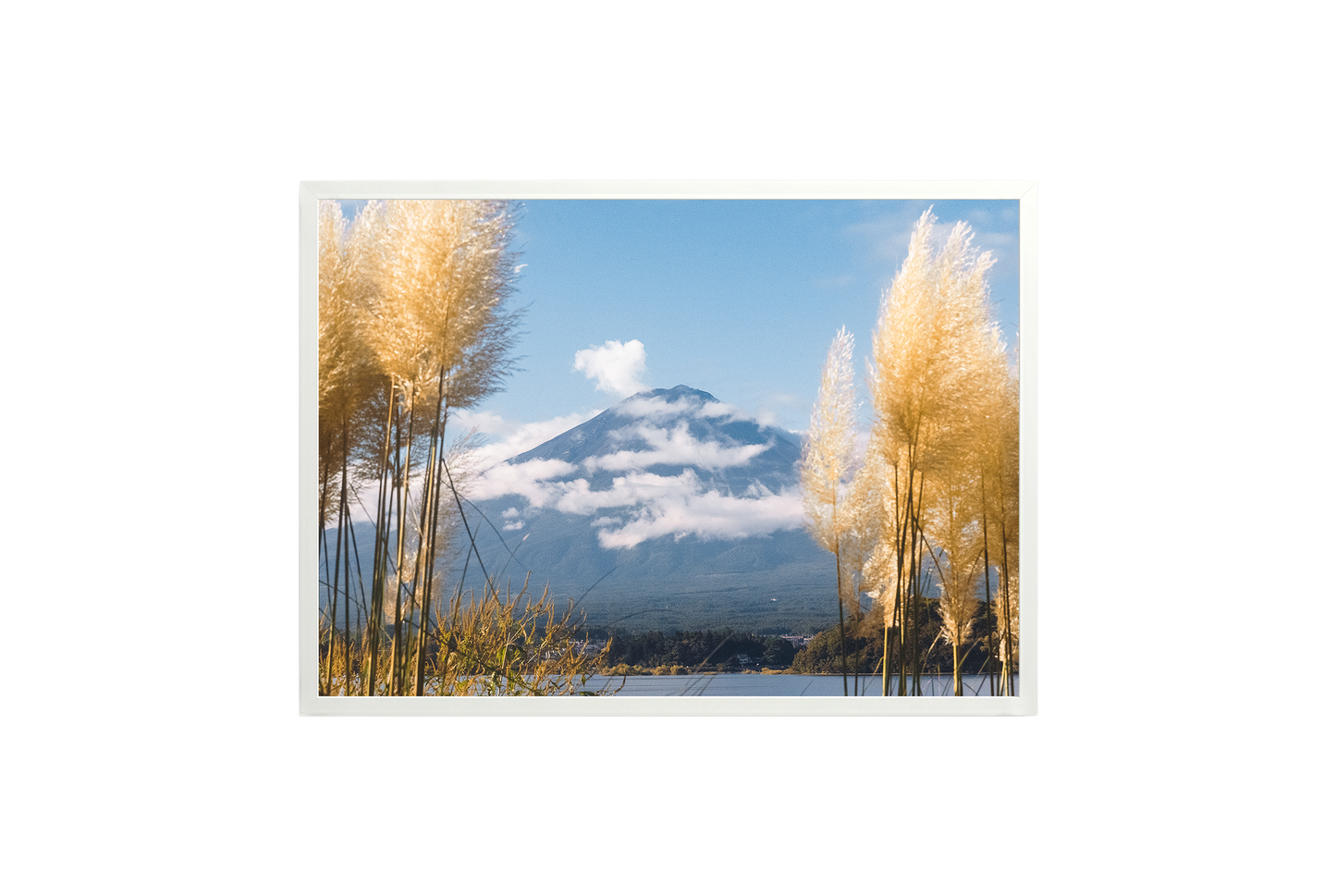 Mount Fuji View