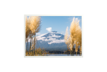 Mount Fuji View