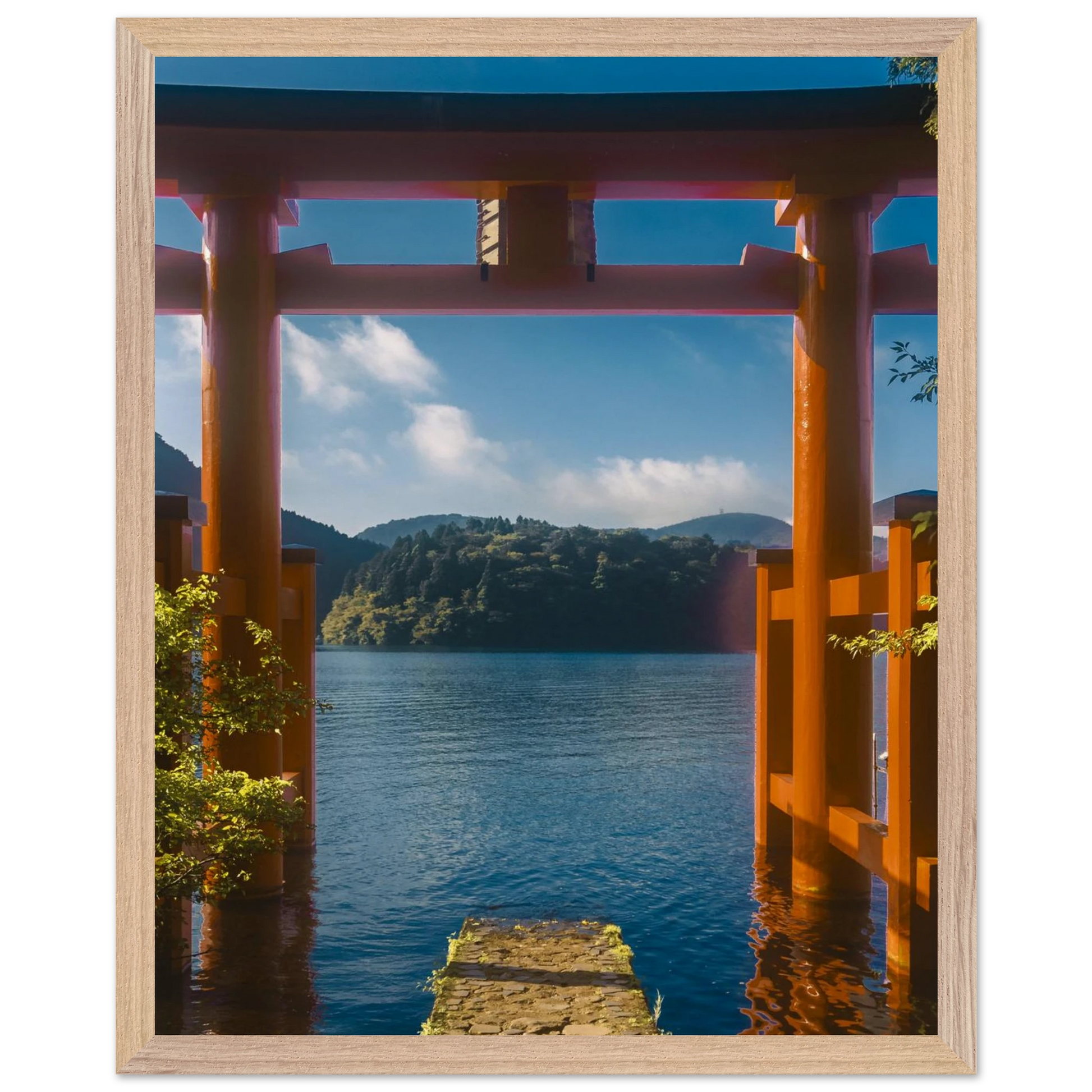 5df76558-37ba-4488-a328-b93d2a99b2e8