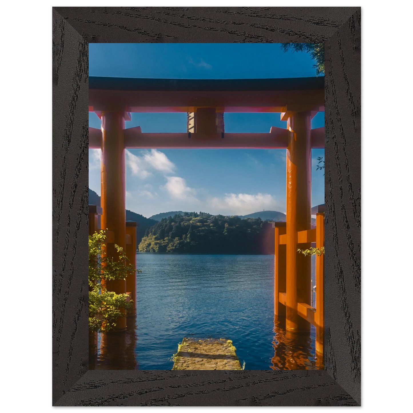 6c945f87-28cc-4704-b1d5-12a2a2cdff29