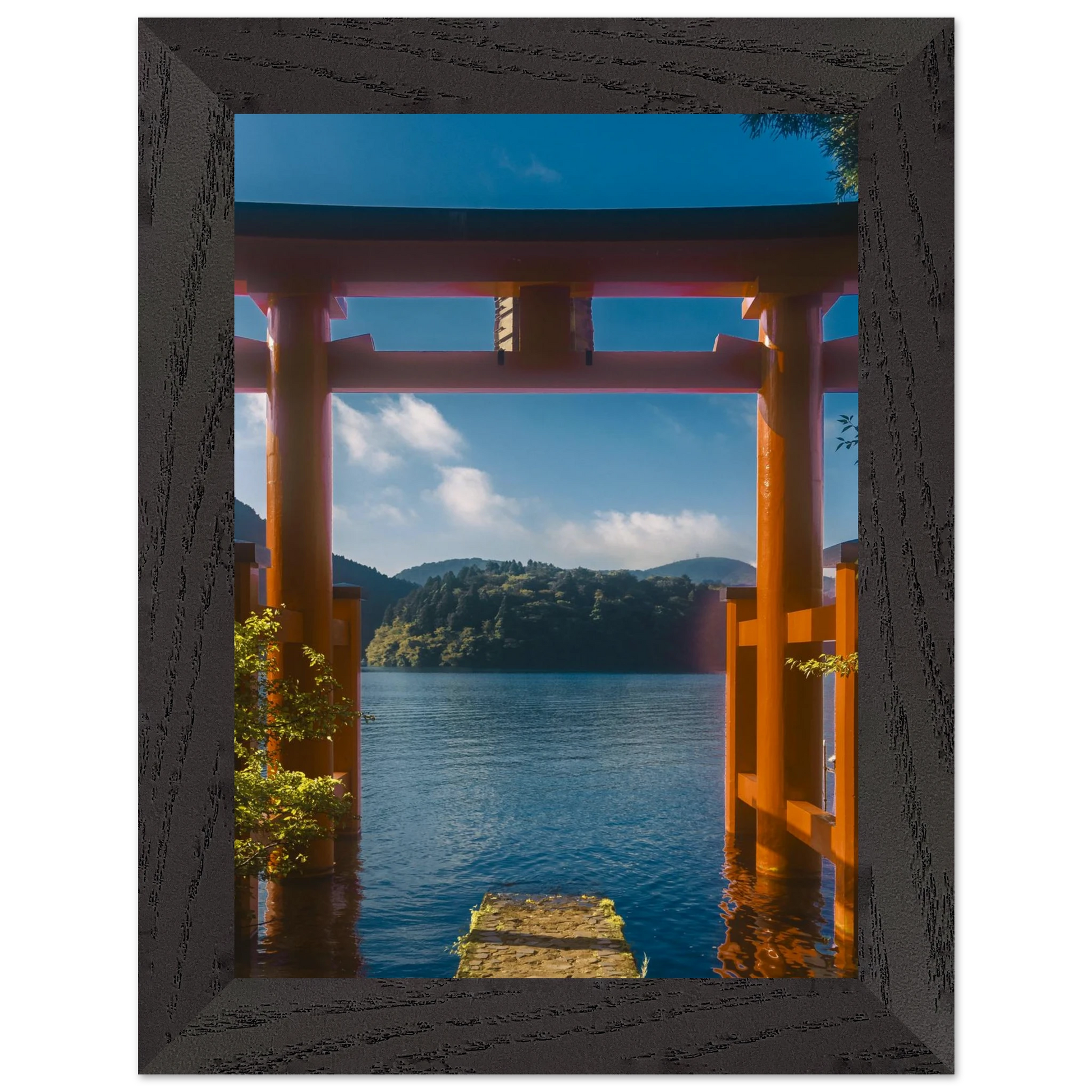 6c945f87-28cc-4704-b1d5-12a2a2cdff29