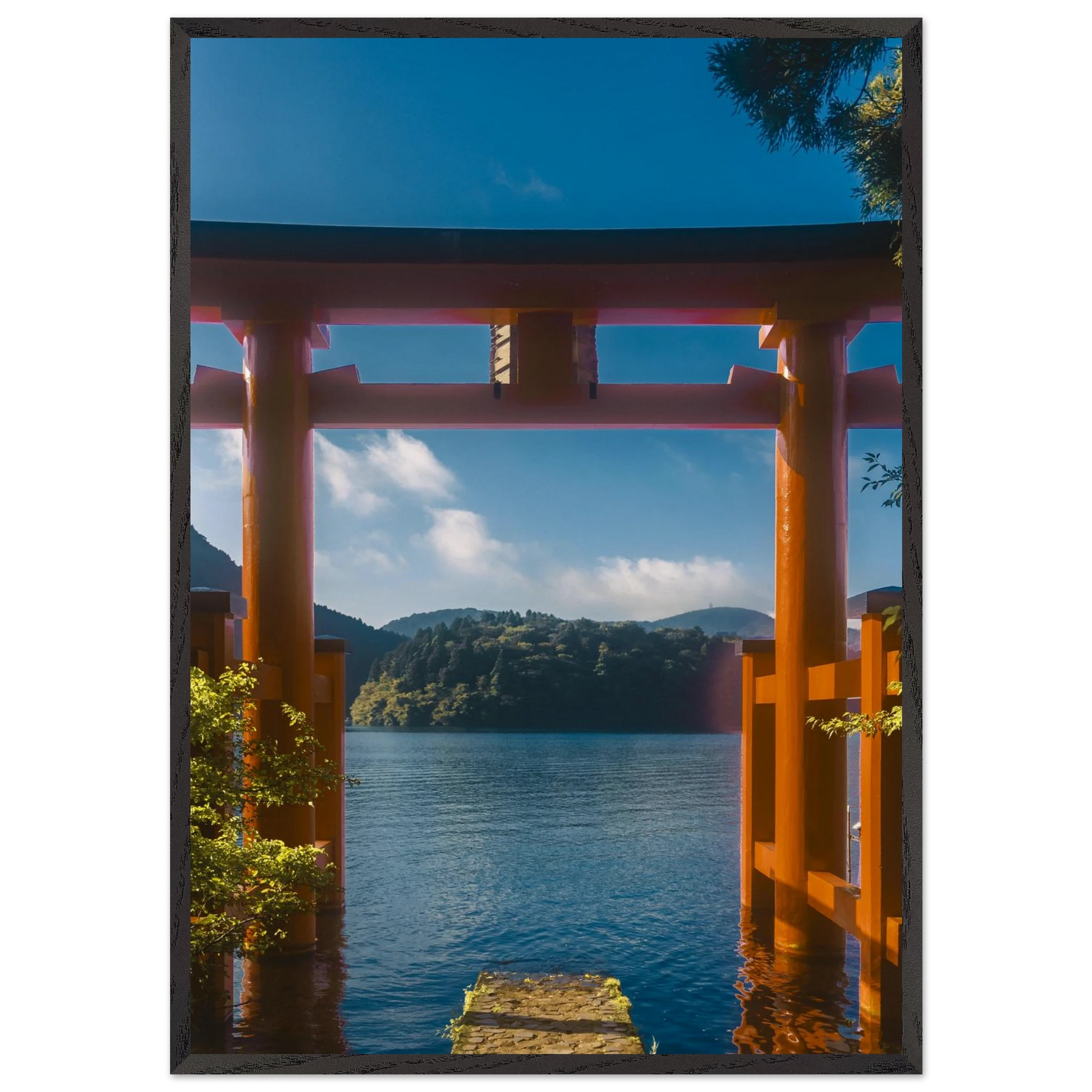 88a1a44b-f788-49fd-93e0-218211cf68f1