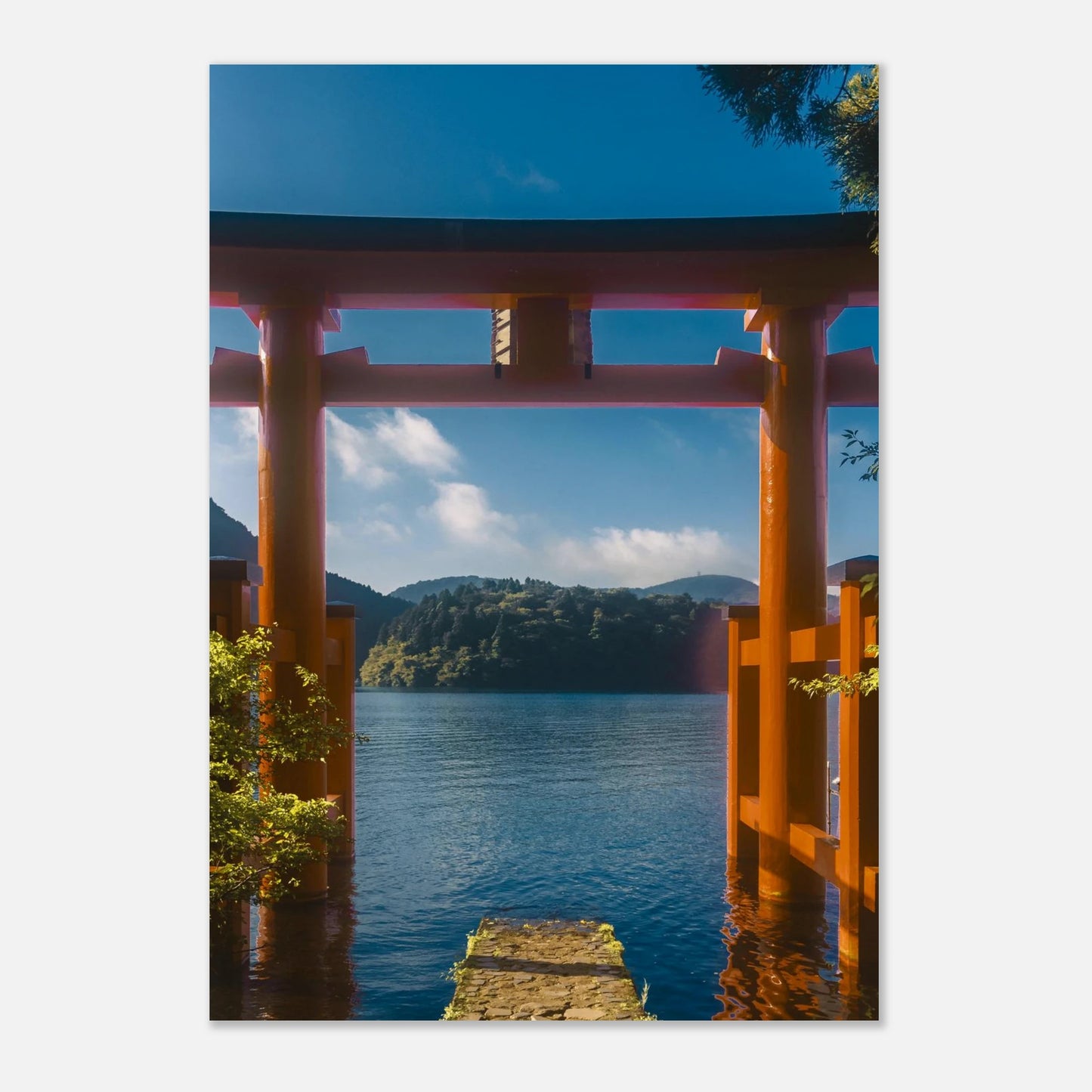 8f2a8c13-da5c-4fa7-8f71-354a0888243c