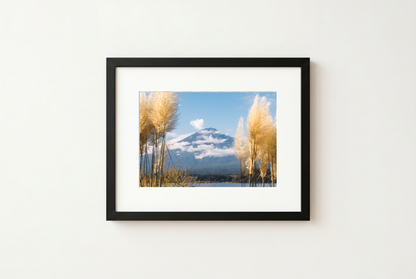 Mount Fuji View