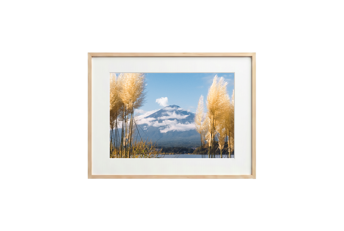 Mount Fuji View