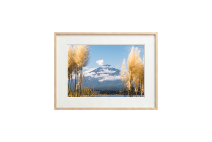 Mount Fuji View