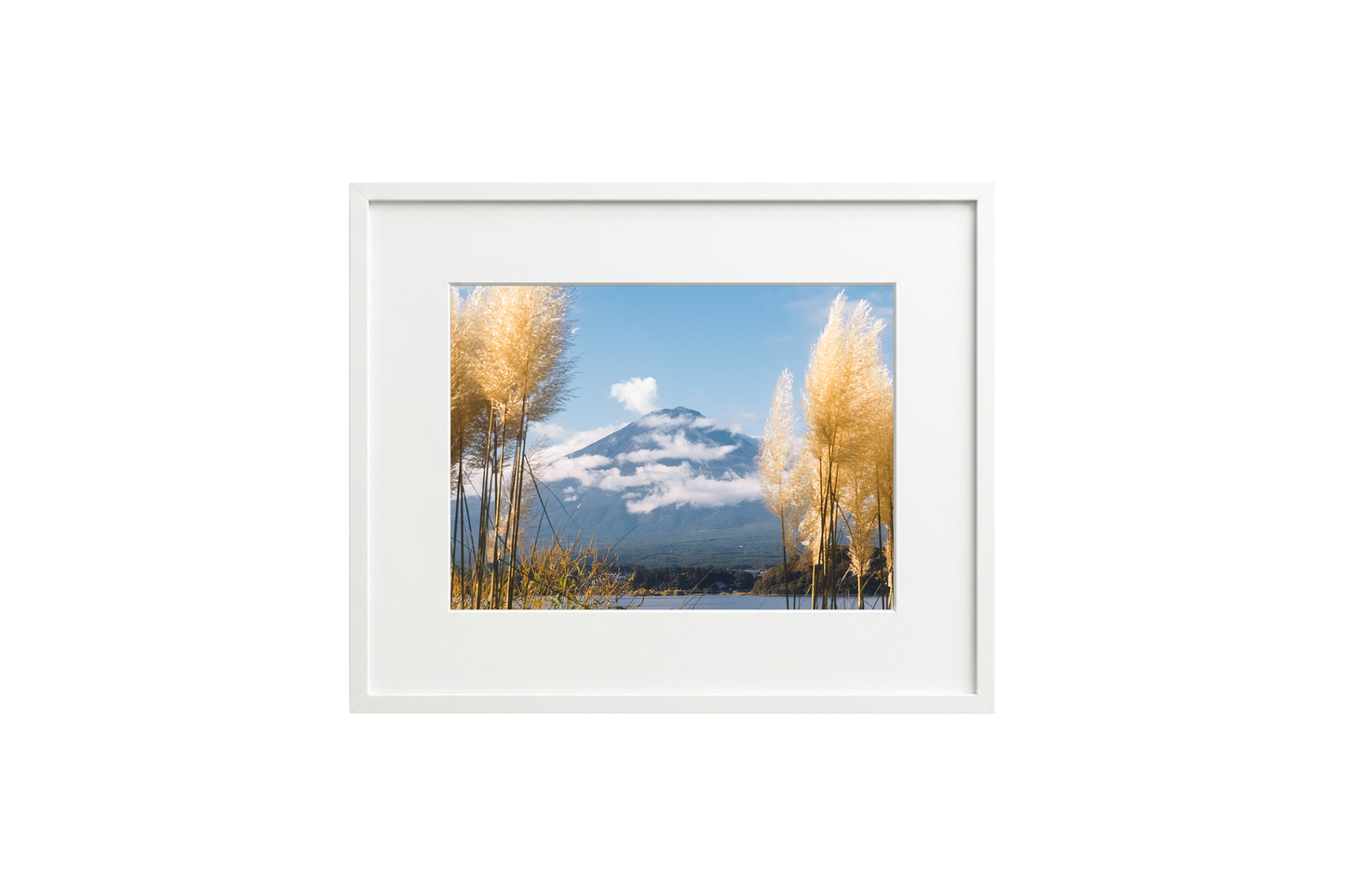 Mount Fuji View