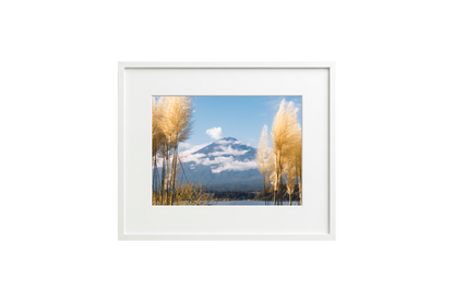 Mount Fuji View