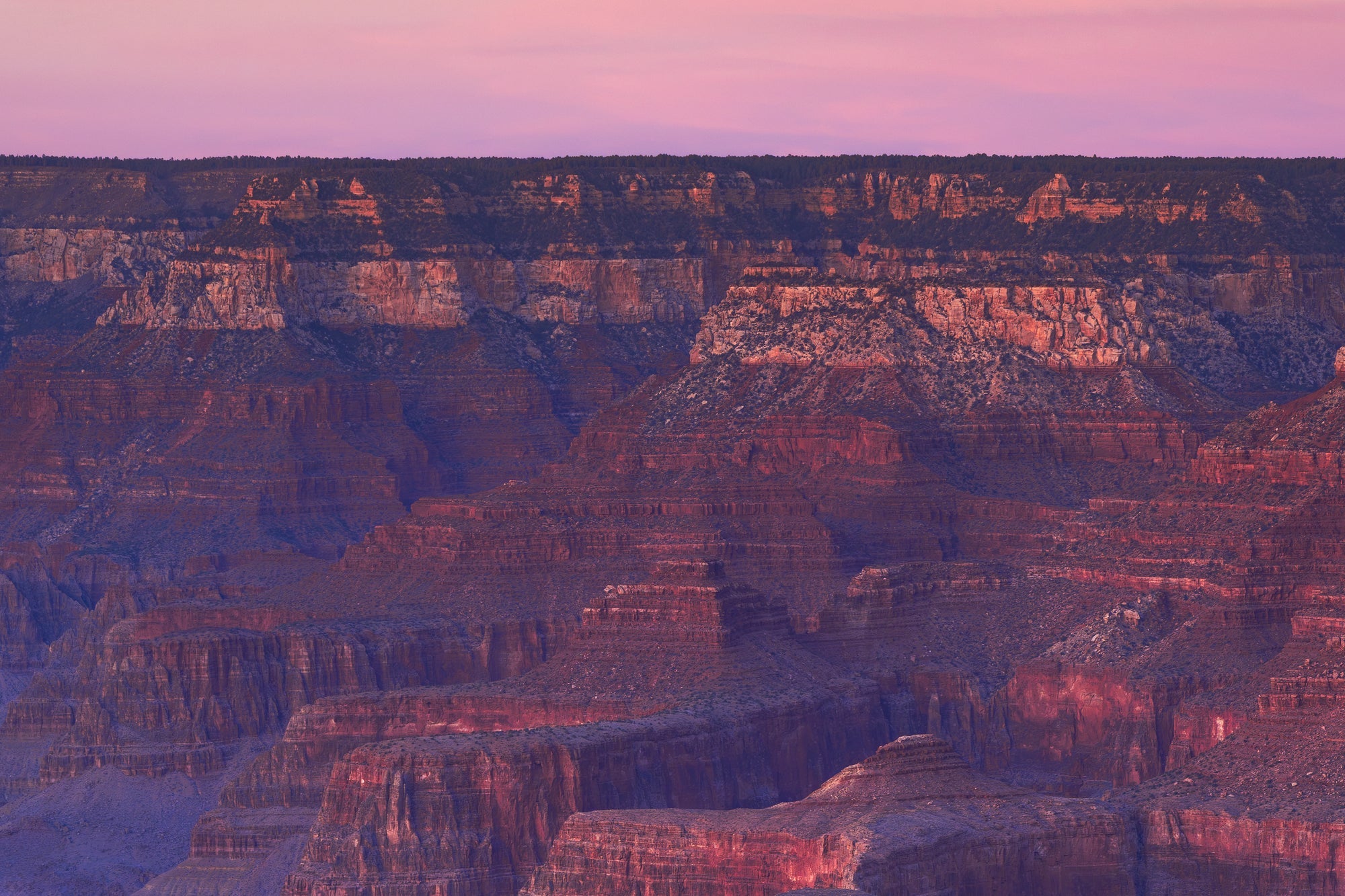 Grand Canyon