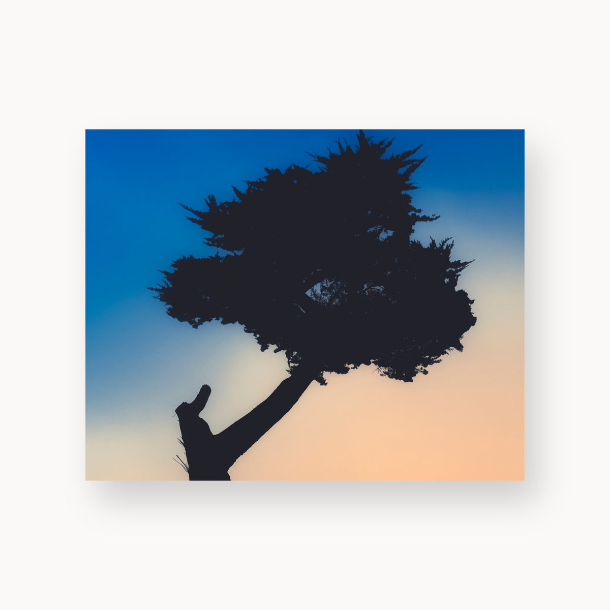 
Keep Your Balance, 8×10 in, unframed