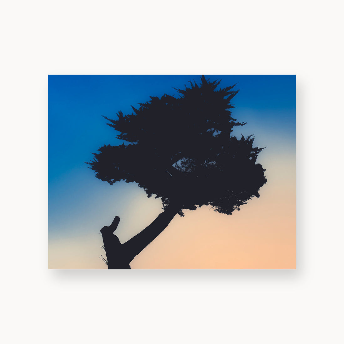 
Keep Your Balance, 11×14 in, unframed