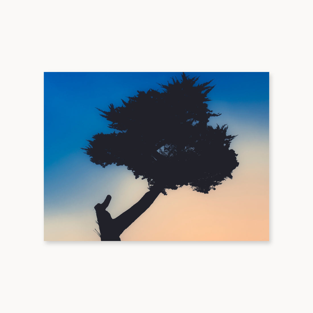 
Keep Your Balance, 30×40 in, unframed