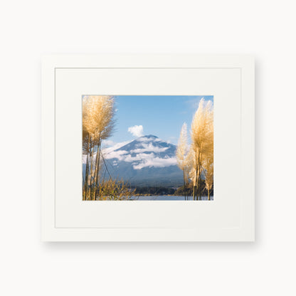 Mount Fuji View