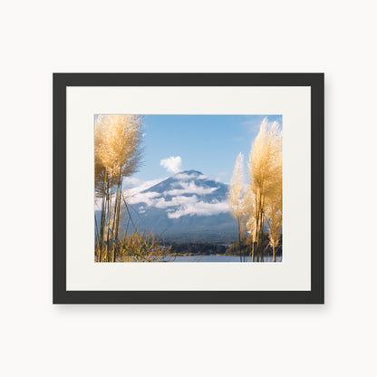 Mount Fuji View