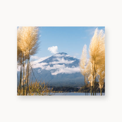 Mount Fuji View