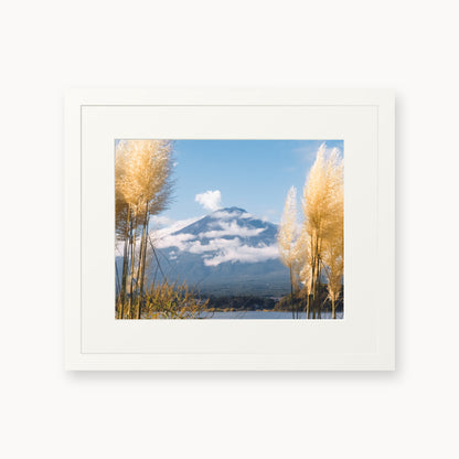 Mount Fuji View