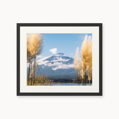 Mount Fuji View