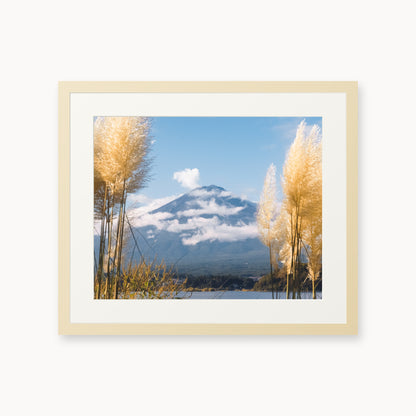 Mount Fuji View