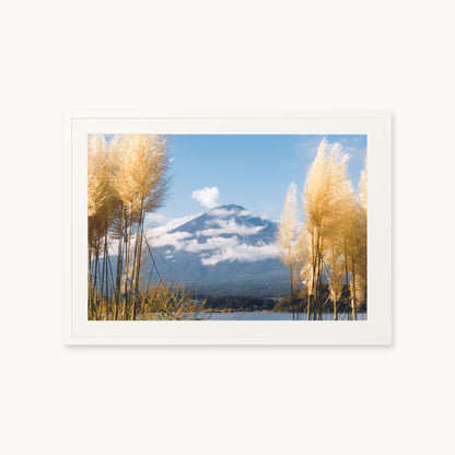 Mount Fuji View