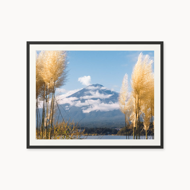 Mount Fuji View