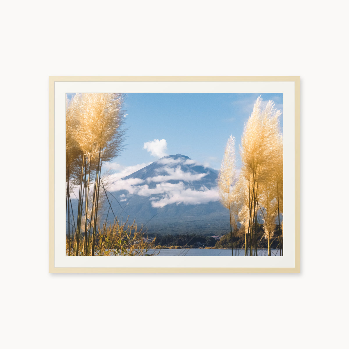 Mount Fuji View
